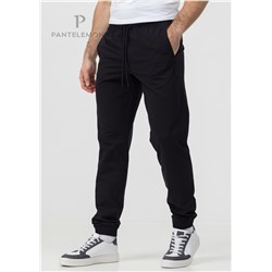 PDB-251 (Брюки мужские, PanteLemone )