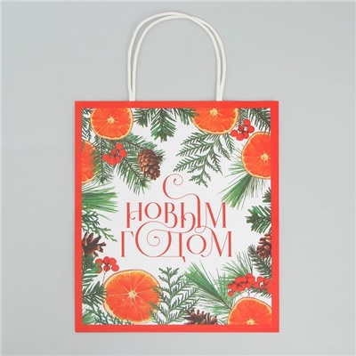 Пакет подарочный новогодний крафтовый «Новогоднее чудо», 22×25×12 см
