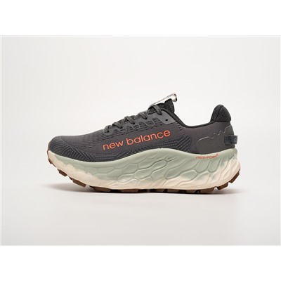 Кроссовки New Balance Fresh Foam X More Trail v3