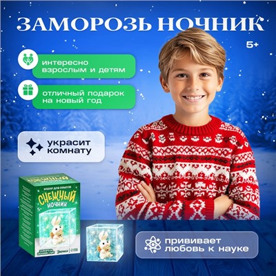 Набор для опытов «Снежный ночник: Кролик», своими руками