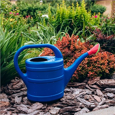 Лейка, 10 л, с рассеивателем, носик d=35 мм, цвет МИКС, «Классика»