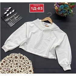Кофта 1977971-1