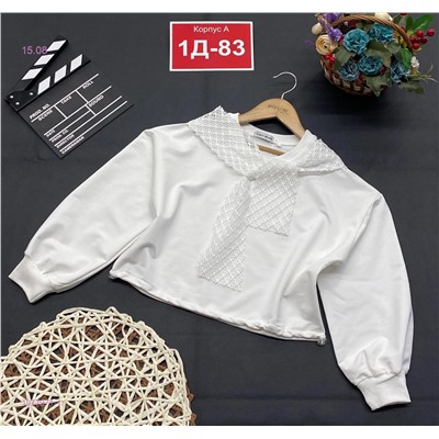 Кофта 1977971-1