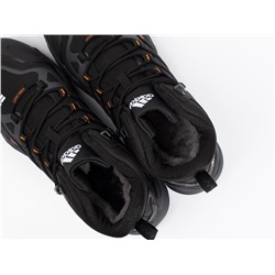 Зимние Ботинки Adidas Terrex Winter