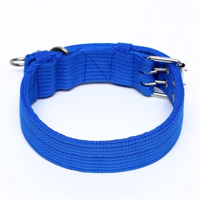 Ошейник четырехслойный, 65×4 см, ОШ 54-60 см, с вертлюгом, полиэстер, синий