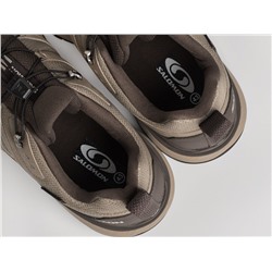 Кроссовки Salomon X Ultra 360