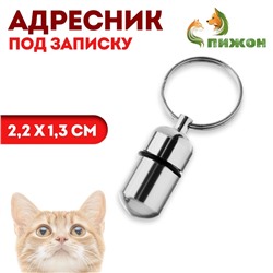 Адресник - капсула под записку, 2.2×1.3 см, металл, серебристый