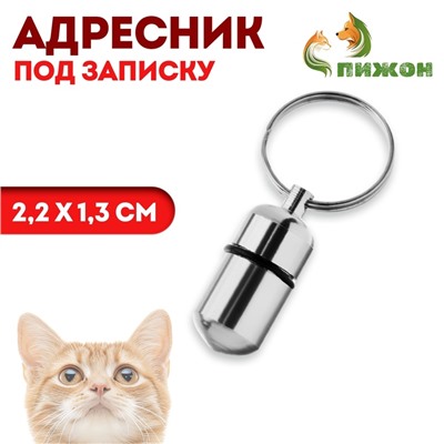 Адресник - капсула под записку, 2.2×1.3 см, металл, серебристый