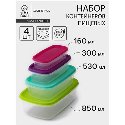 Набор контейнеров для хранения Доляна «Радуга», 4 шт.: 19×12, 16×9, 14×7, 12.5×5.5 см, цвет МИКС