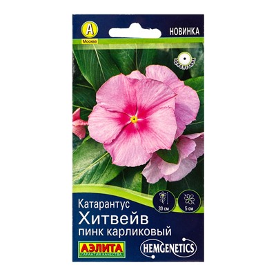 Семена цветов Катарантус Хитвейв пинк карликовый  Спецсерия Hem Genetics, Ц/П,5 шт.
