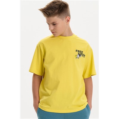 Футболка для мальчиков PELICAN, 1232814