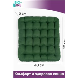 Подушка для мебели Bio-Line с гречневой лузгой PSG25 НАТАЛИ, 879651