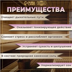Соляной брикет набор 4 шт "Вишня, Ежевика, смородина, Малина"