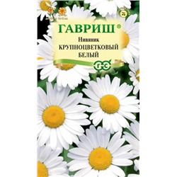 Нивяник Крупноцветковый Белый (Гавр)