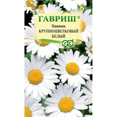 Нивяник Крупноцветковый Белый (Гавр)