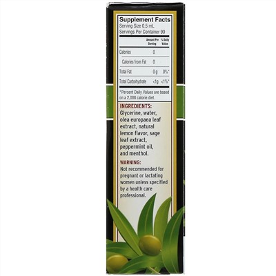 Barlean's, Olive Leaf Complex, спрей для горла на основе оливковых листьев, со вкусом перечной мяты, 45 мл (1,5 жидк. унции)