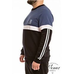 Толстовка М12120Пб