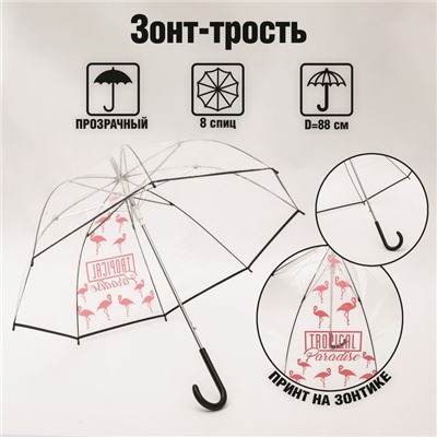 Зонт женский механический, купол Tropical Paradise, 8 спиц, d = 88 см, прозрачный, механический