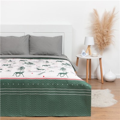 Покрывало Этель Евро Magical Christmas, 230×210 см