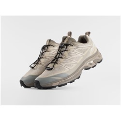 Кроссовки Salomon ADVANCED XT-4