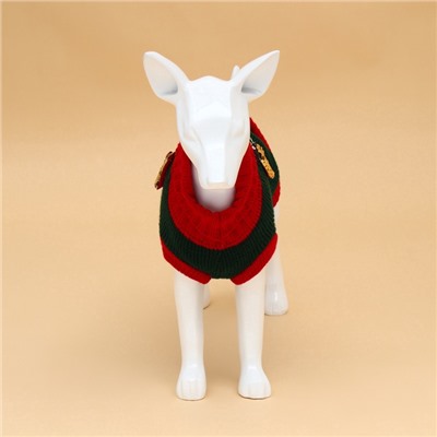 Свитер для животных «Рога удачи», размер XS (ДС 20 см, ОШ 17, ОГ 23-37), зелёный