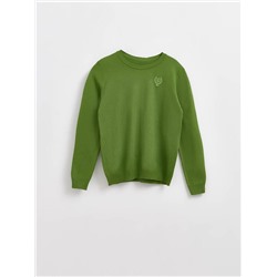 Джемперы ESLI Джемпер для мальчиков 16С-32СП