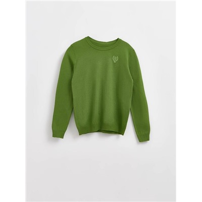 Джемперы ESLI Джемпер для мальчиков 16С-32СП