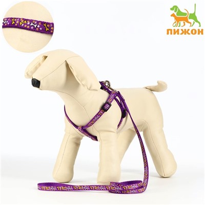 Шлейка с поводком «Звёздные косточки», 23-35 см, ширина 1 см, поводок 120 см, фиолетовая