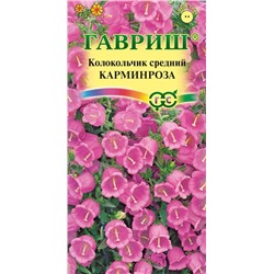 Колокольчик Карминроза средний (Гавр)