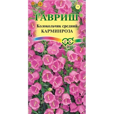 Колокольчик Карминроза средний (Гавр)