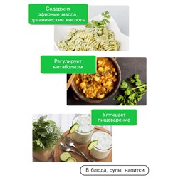 Семена Петрушка кудрявая «Мооскраузе», 2 г, «Рецепты дедушки Никиты»