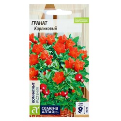 Семена комнатных цветов Гранат Карликовый, Мн, ц/п, 5 шт.