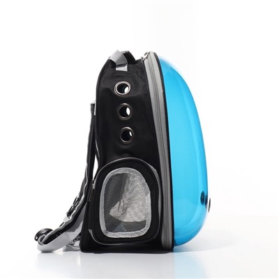 Рюкзак для переноски кошек и собак, 33×25×41 см, прозрачный, с напылением