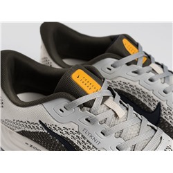 Кроссовки Nike Pegasus Plus