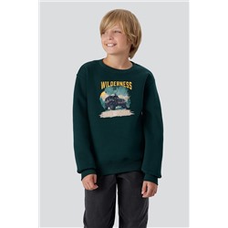 Свитшот MARK FORMELLE, 1201459