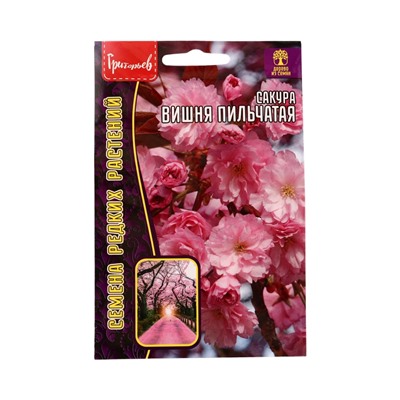 Семена цветов Сакура Вишня мелкопильчатая 5шт. / НОВИНКА  12.29 г.