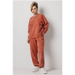 Брюки женские  194В/03/Терракотовый