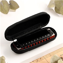 Губная гармошка Music Life T008L C диатоническая, 10 отверстий, с футляром