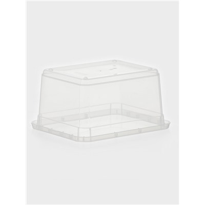 Контейнер для хранения Palm, 2 л, 19×15.3×9.8 см, с крышкой, прозрачный