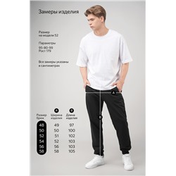 Мужские брюки из футера двухнитки Happyfox