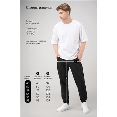 Мужские брюки из футера двухнитки Happyfox