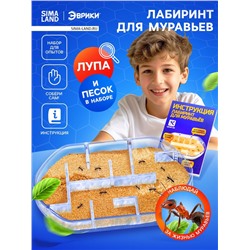Набор для опытов «Лабиринт для муравьёв»