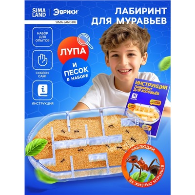 Набор для опытов «Лабиринт для муравьёв»