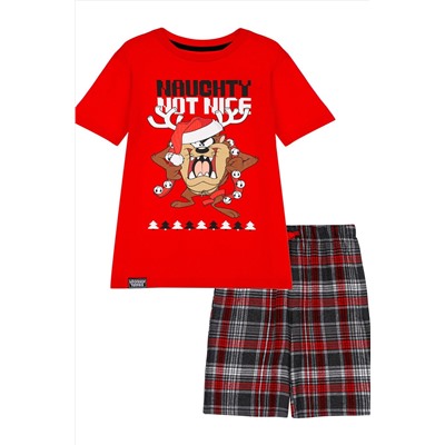 Пижма PLAYTODAY, 1054602