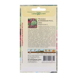 Семена цветов Молодило «Каменная Роза», 0.01 г, «Гавриш»