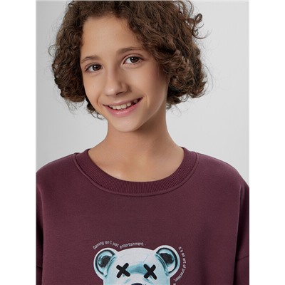 СВИТШОТ ДЛЯ МАЛЬЧИКОВ 123466