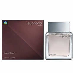 Парфюмерная вода Calvin Klein Euphoria Men мужская (Euro A-Plus качество люкс)