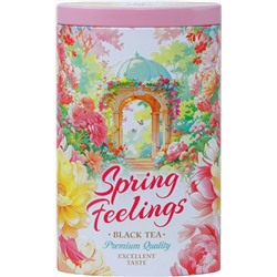 HYLEYS. 8 марта. Spring Feelings. Ротонда 80 гр. жест.банка