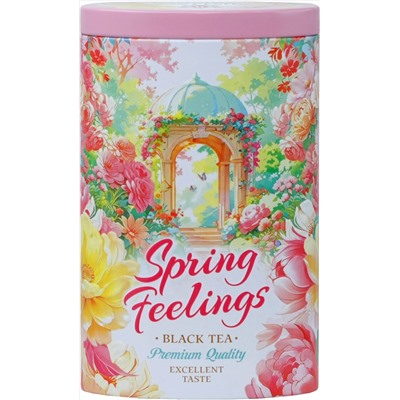 HYLEYS. 8 марта. Spring Feelings. Ротонда 80 гр. жест.банка