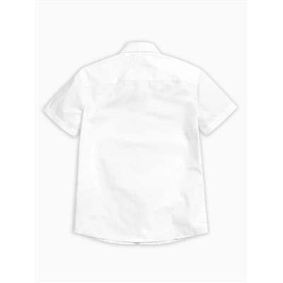 PELICAN Сорочка BWCT7070